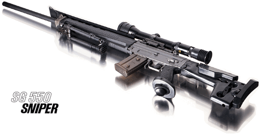 SG550sniper.gif (48406 bytes)